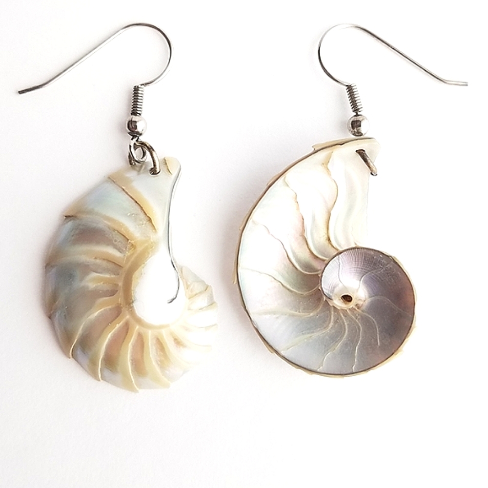 Nautilus Seashell Earrings - Picture 5 of 7